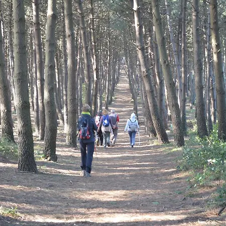 Hotel L'antico Convitto Amalfi